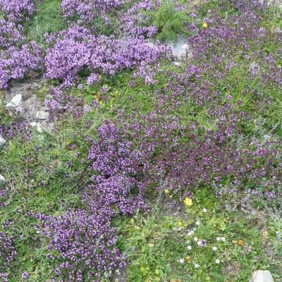 1bf9e088 1700 4a22 b85d d9731b99b376