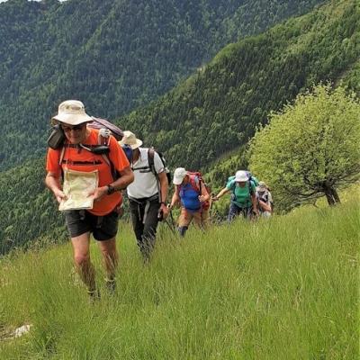 20190607 file d allegro