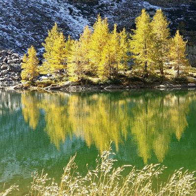 20191008 lac de trecolpas