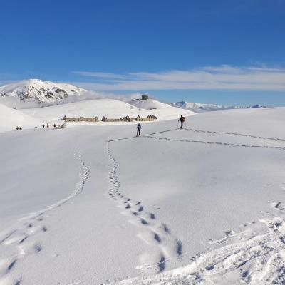 20210209 neige fraiche