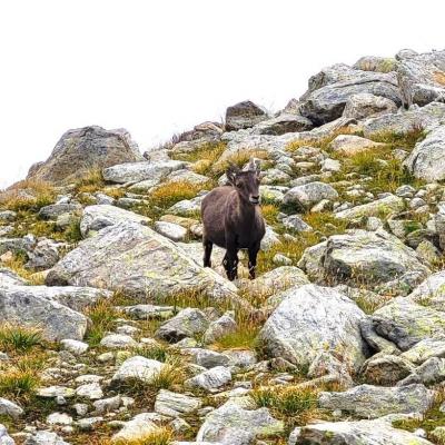 Allegro lacs besson 09 2023 3