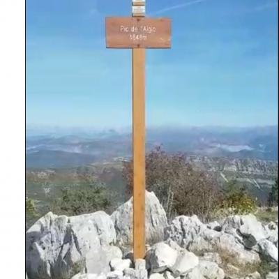 Pic aiglo